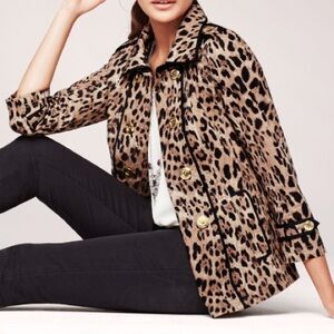 White House Black market leopard swing jacket.